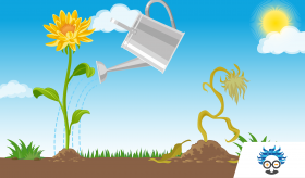 facebook organic reach mistakes